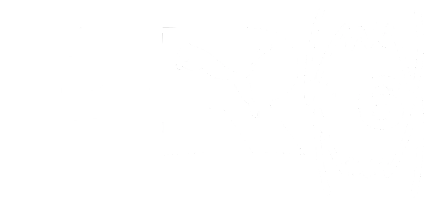 Pro16 Logo White